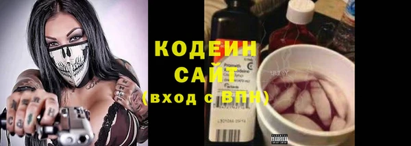 хмурый Алзамай