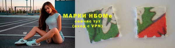 мет Алексин