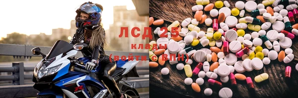 хмурый Алзамай