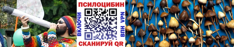 Галлюциногенные грибы Cubensis  где купить наркоту  Оханск 
